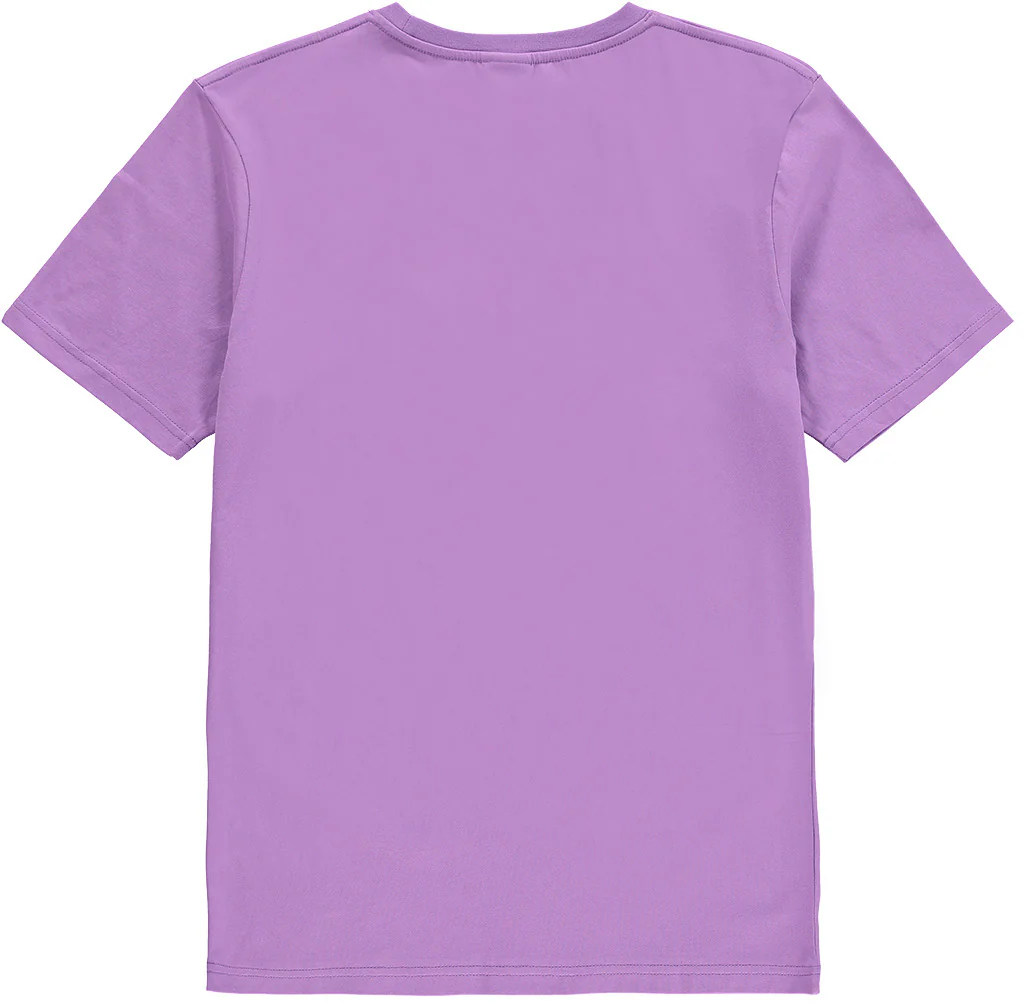 172123-550 | CLASSIC LOGO T-SHIRT - Image 2